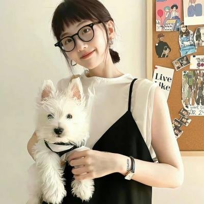 绝望主妇第四季 封面